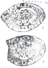 Paradunbarula (Shindella) shindensis Chediya in Kotlyar, 1984