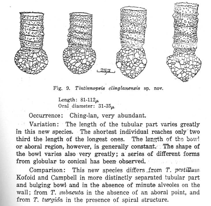 Figures from Nie & Cheng description of T. chinglanensis