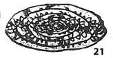 Fusulina contracta Schellwien Ms., 1909 Fusulina contracta Schellwien Ms., 1909