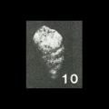 Chromista - Foraminifera (foraminifers)