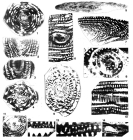 Praealveolina michaudi Pêcheux, 2002