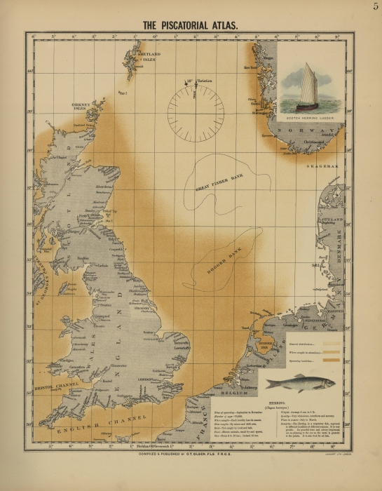 Olsen (1883, map 05) Olsen (1883, map 05)