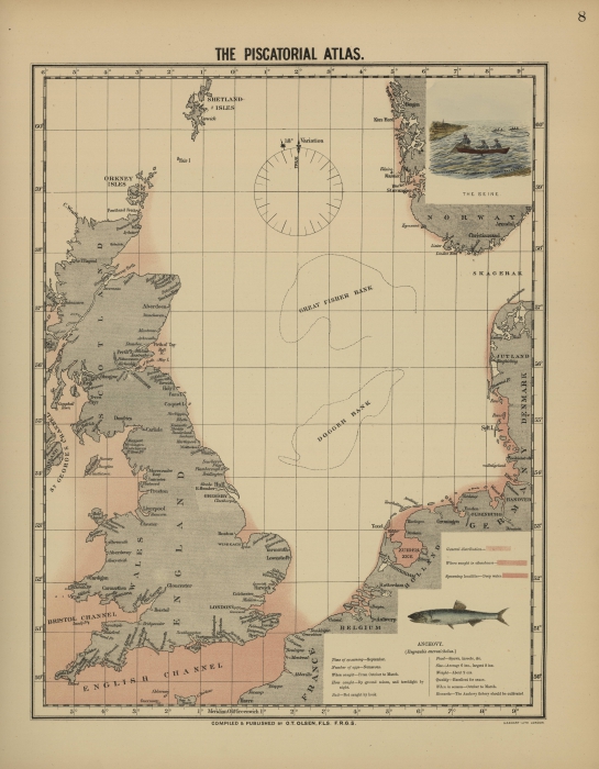 Olsen (1883, map 08) Olsen (1883, map 08)