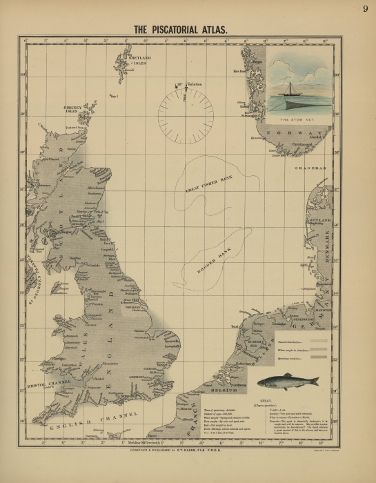 Olsen (1883, map 09) Olsen (1883, map 09)