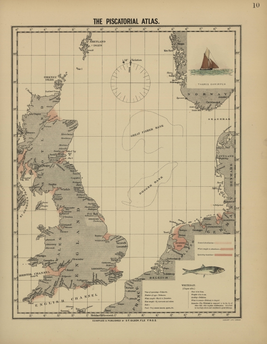 Olsen (1883, map 10)