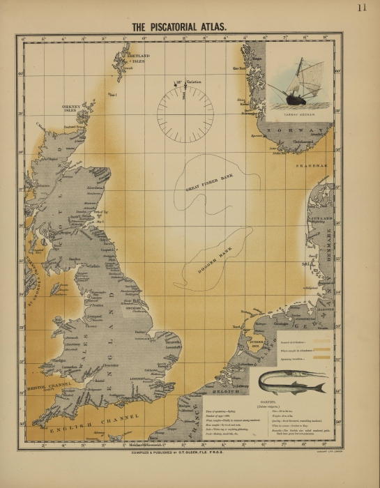 Olsen (1883, map 11) Olsen (1883, map 11)