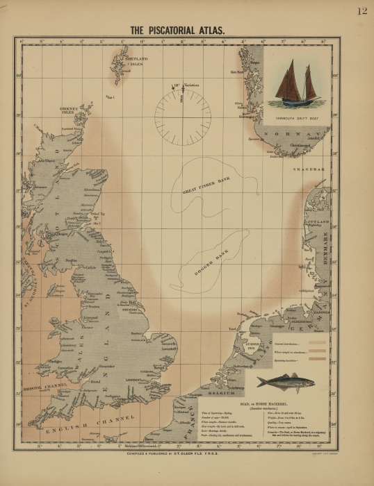 Olsen (1883, map 12)
