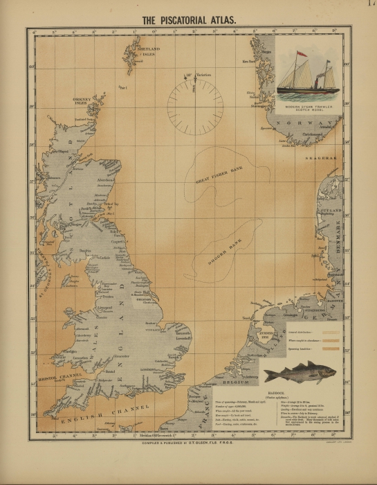 Olsen (1883, map 17) Olsen (1883, map 17)