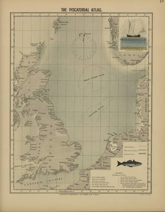 Olsen (1883, map 18) Olsen (1883, map 18)