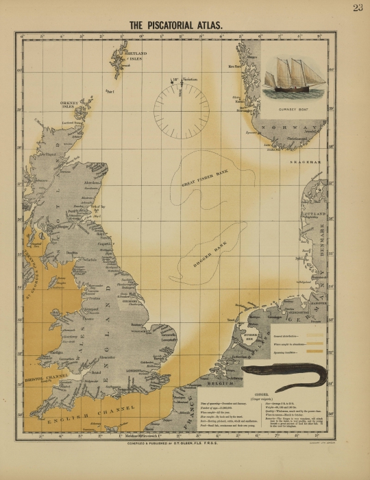 Olsen (1883, map 23)