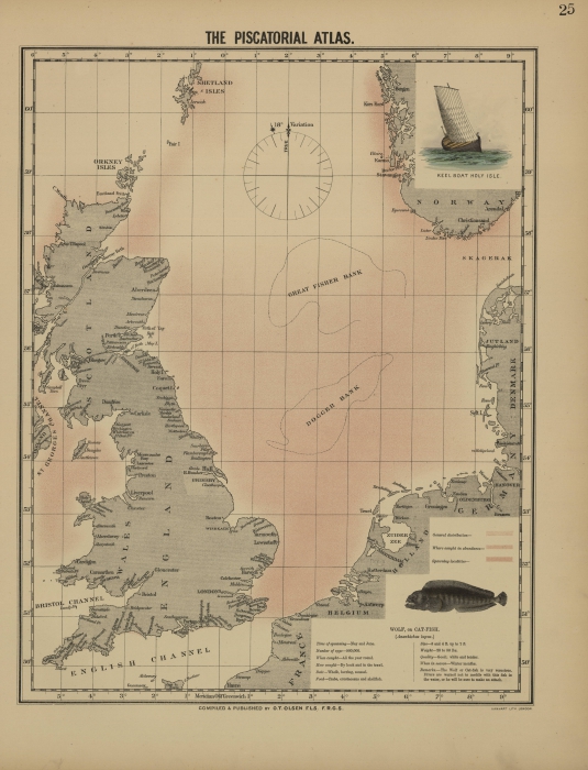 Olsen (1883, map 25)