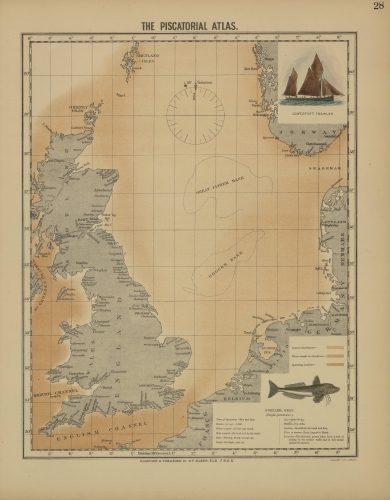 Olsen (1883, map 28)