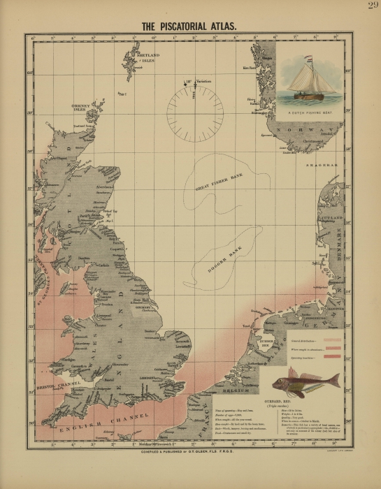 Olsen (1883, map 29)