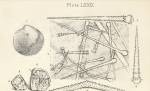 Pl. LXXIX Illustration of spicules based on type specimen