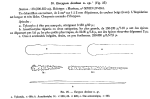 Eurypon denisae Vacelet, 1969, Fig. 25