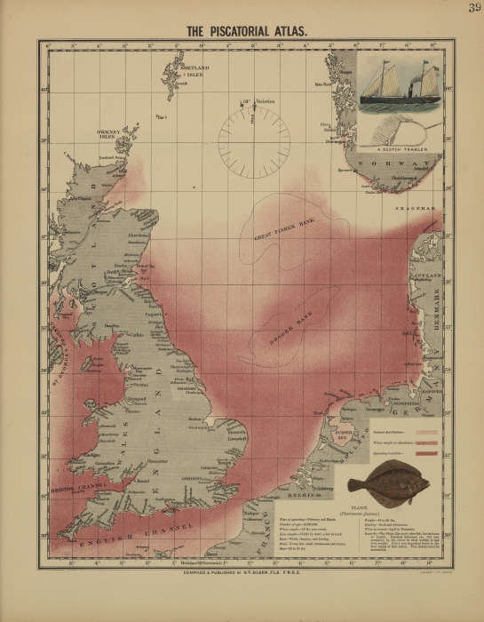Olsen (1883, map 39) Olsen (1883, map 39)