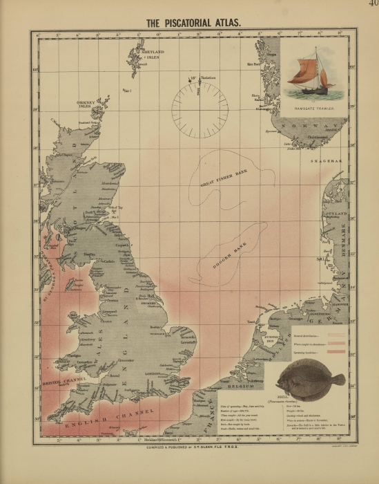 Olsen (1883, map 40) Olsen (1883, map 40)