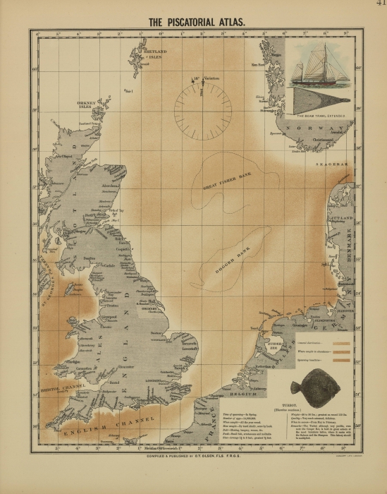 Olsen (1883, map 41) Olsen (1883, map 41)