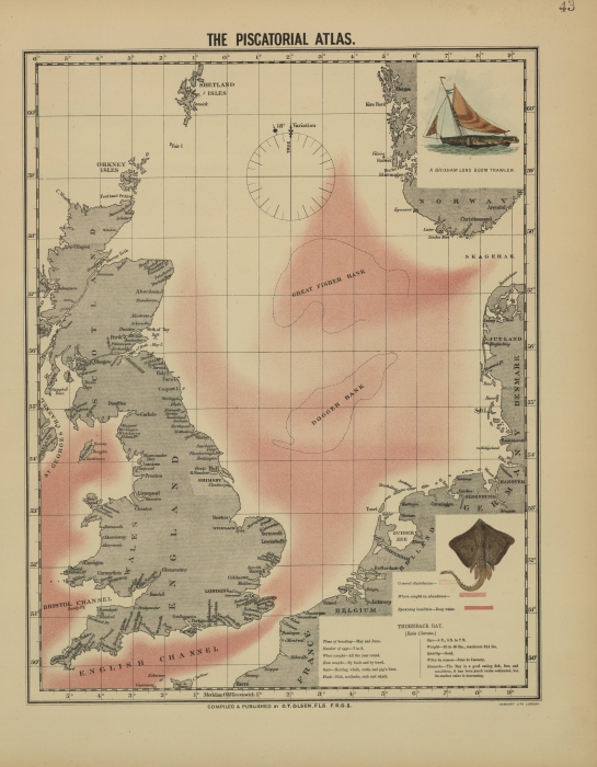 Olsen (1883, map 43) Olsen (1883, map 43)