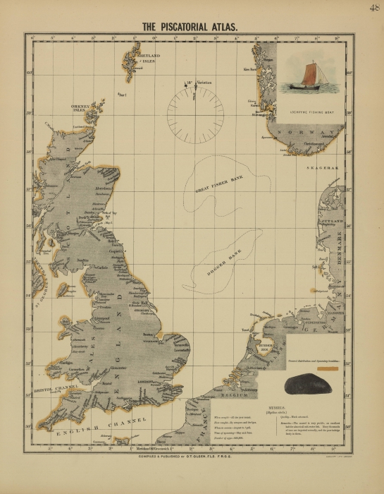 Olsen (1883, map 48)