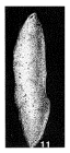 Psammosiphonella aetheria Saidova, 1970