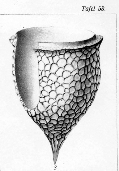 Original description image from Brandt Original description image from Brandt