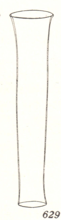 Tintinnus medius now known as Eutintinnus medius Tintinnus medius now known as Eutintinnus medius