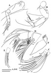 Dolerocypris sisaketensis Savatenalinton & Suttajit, 2016