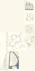 Lendenfeld_1897_Plate X Fig. 134144
