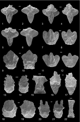 Fig .4 (Poatskievick-Pierezan, Gale & Fauth 2023)