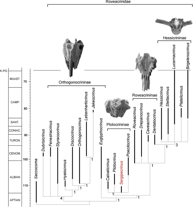 Fig. 2 (Poatskievick-Pierezan, Gale & Fauth 2023)