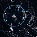 Hydrozoa (hydroids)