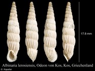Albinaria lerosiensis