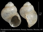 Pseudamnicola stasimoensis