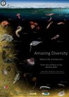 Amazing Diversity. Marine life of Antarctica - From the surface to the abyssal plain.