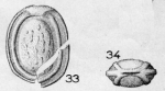 Entosolenia tricarinata (Terquem) em. Le Calvez, 1950