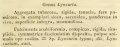 Lyncuria Nardo, 1834 description