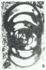 Globoendothyra 