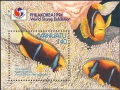 Amphiprion chrysopterus