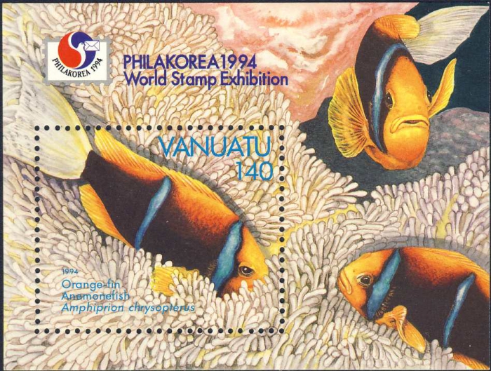 Amphiprion chrysopterus Amphiprion chrysopterus