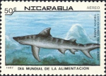 Carcharhinus nicaraguensis