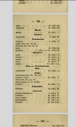 Koch 1841 species list