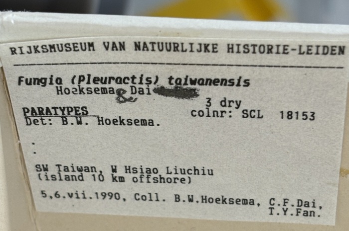 Label 3 paratypes Label 3 paratypes
