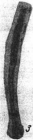 Syzrania pseudosamarensis Baryshnikov, 1982