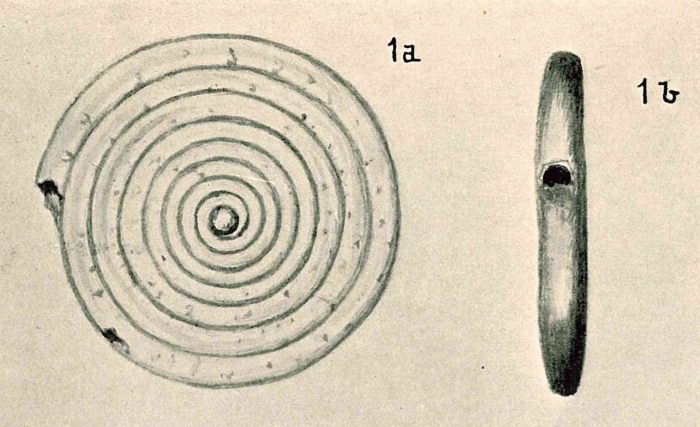 Spirillina helenae Chapman & Parr, 1937 Spirillina helenae Chapman & Parr, 1937