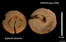 SMNH-type-4340