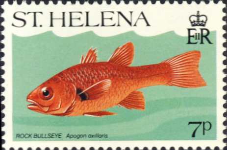 Apogon axillaris Apogon axillaris
