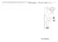 Akamptogonus beauforti