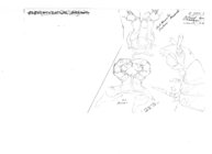 Archichoneiulus drahoni maareb