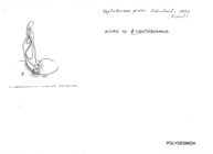 Atlantodesmus pintoi